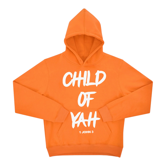 C.O.Y Orange Hoodie & Jogger Set